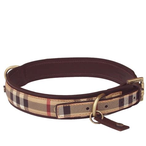 burberry cat collar for sale